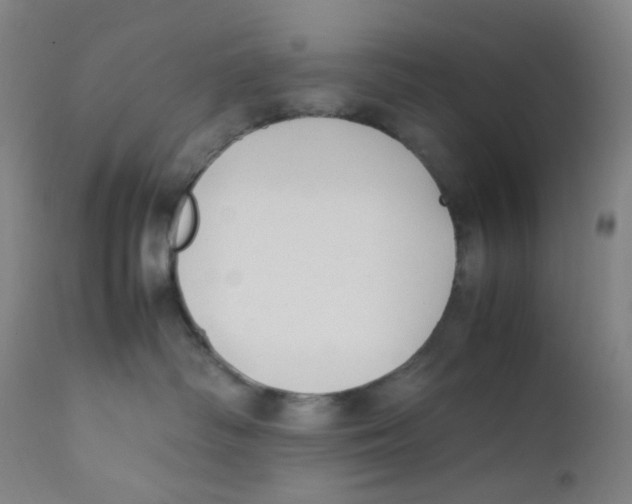 X0000112210334200909041347