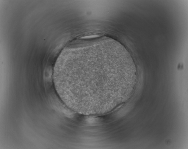 X0000112210336200909041347