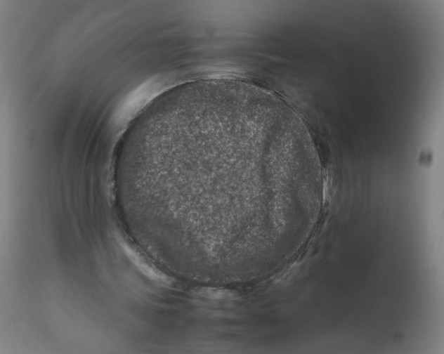 X0000112210339200909041346