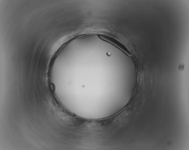 X0000112210340200909041346