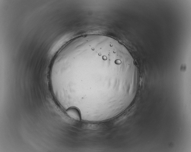 X0000112210341200909041346