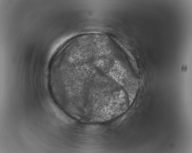 X0000112210342200909041346