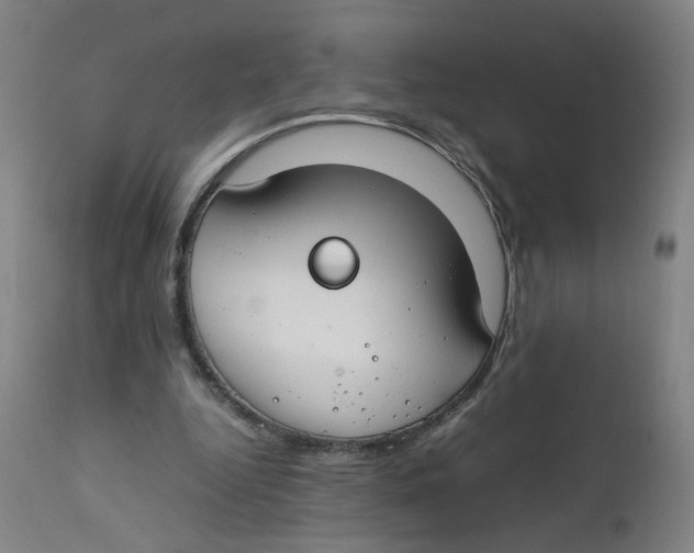 X0000112210344200909041346