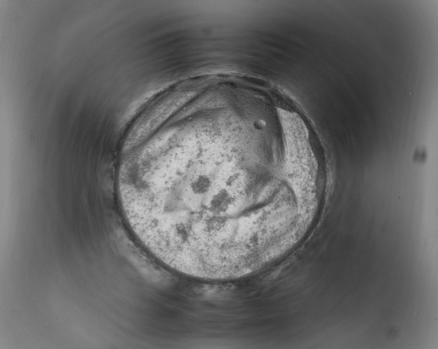 X0000112210345200909041346