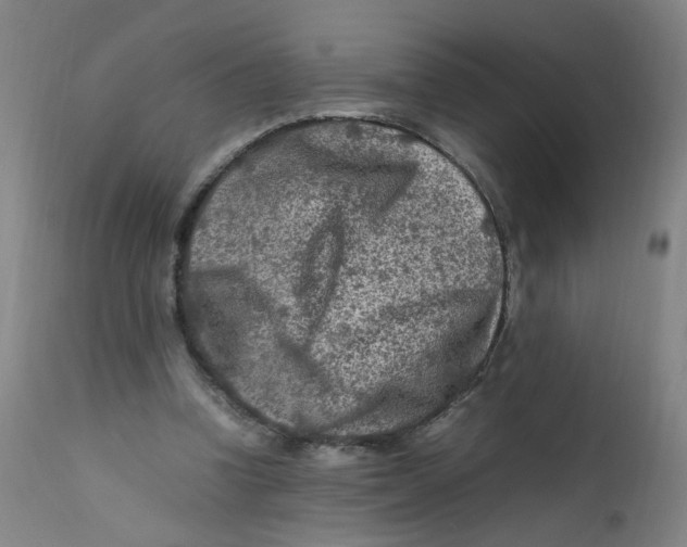 X0000112210346200909041346