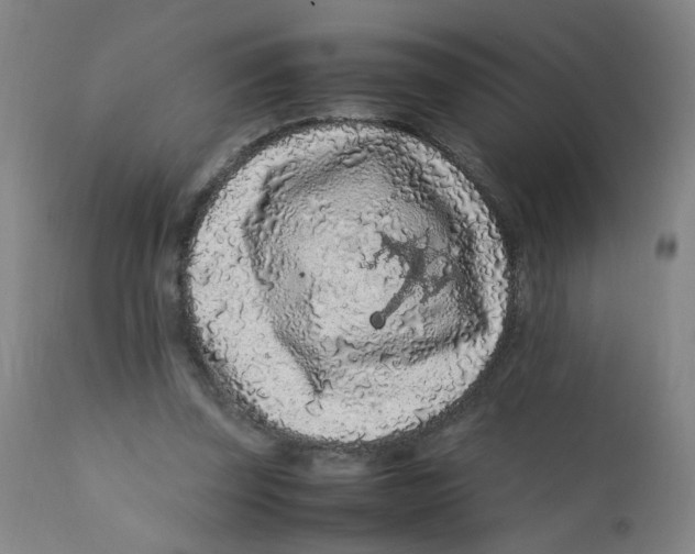 X0000112210347200909041346