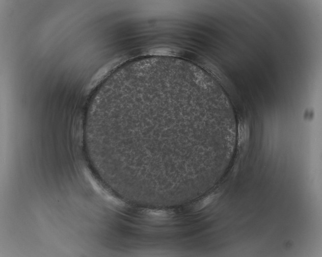 X0000112210349200909041346