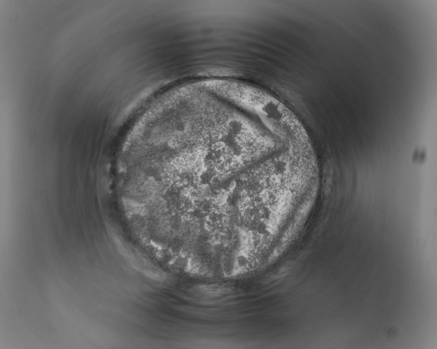 X0000112210351200909041346