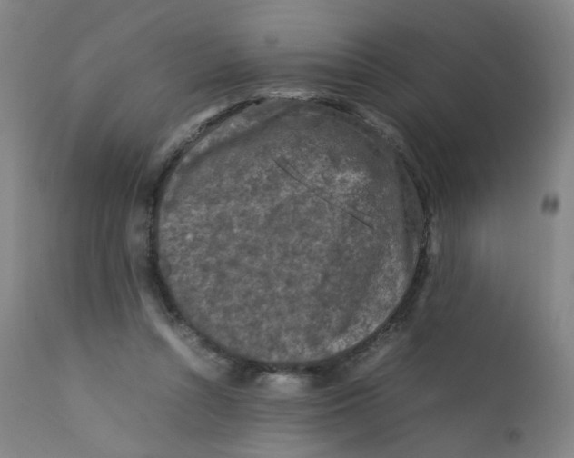 X0000112210352200909041346