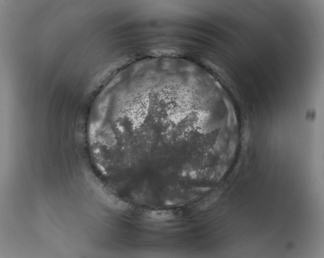 X0000112210353200909041346