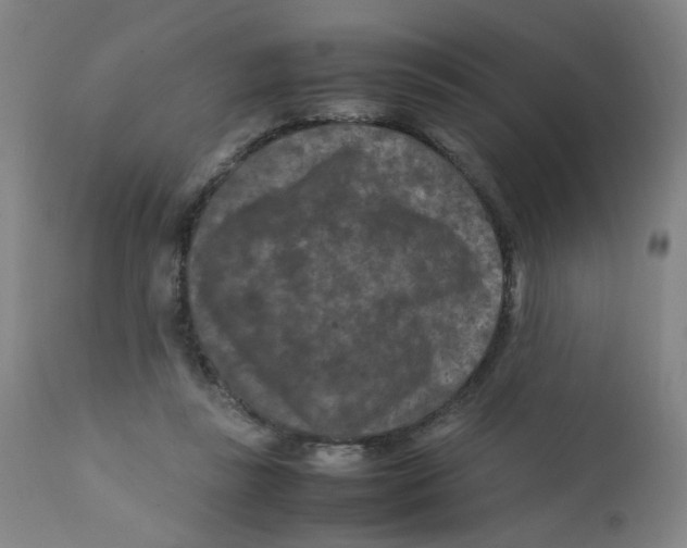 X0000112210355200909041346