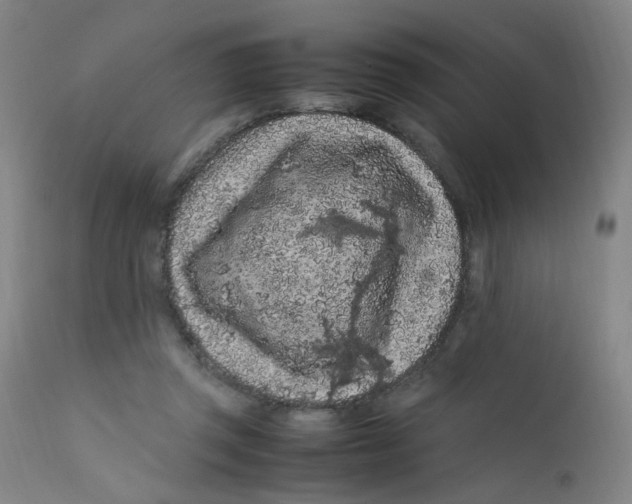 X0000112210357200909041346