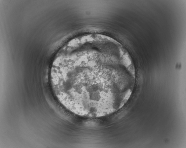 X0000112210358200909041346
