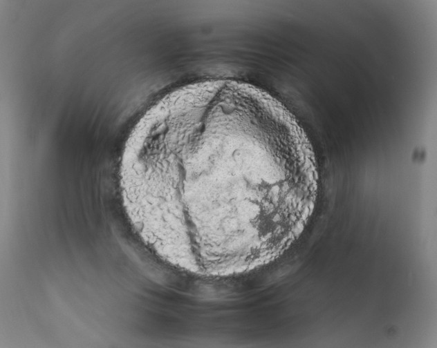 X0000112210359200909041346