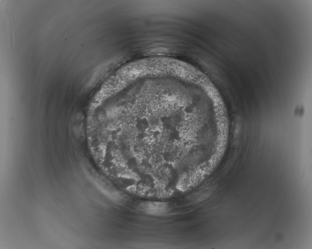 X0000112210361200909041346