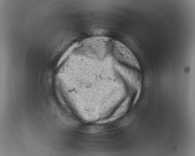 X0000112210363200909041346