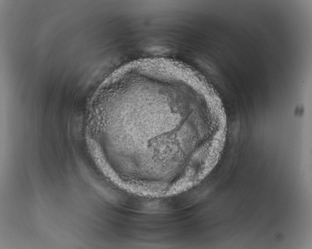 X0000112210365200909041346