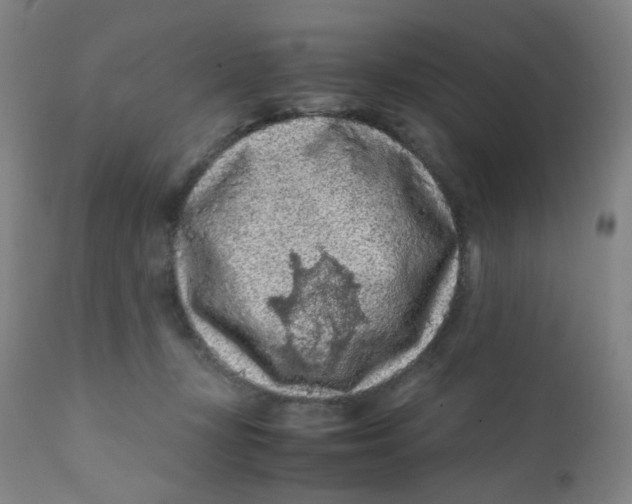 X0000112210367200909041346