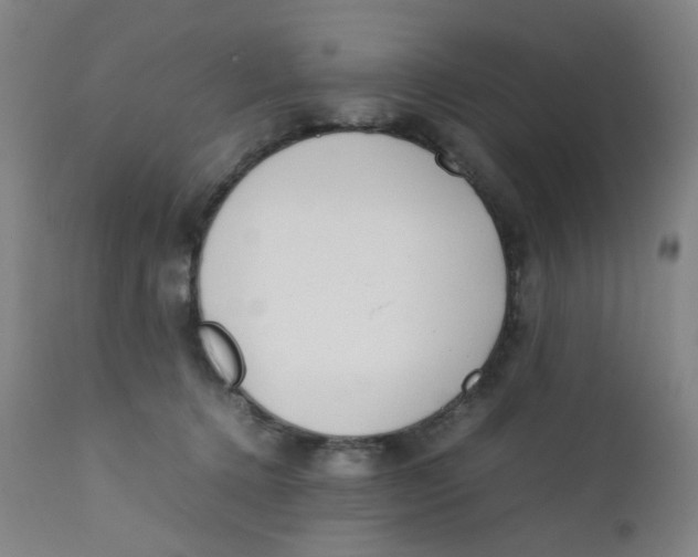 X0000112210368200909041346