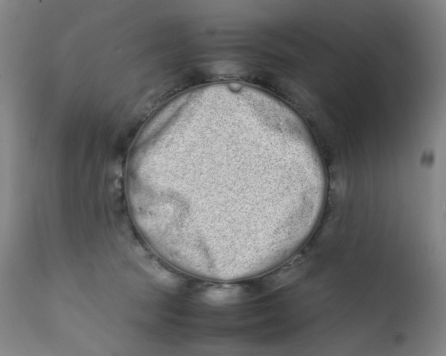 X0000112210369200909041346