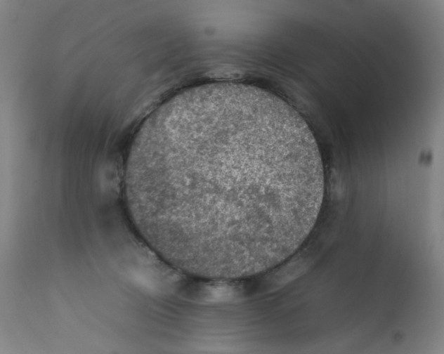X0000112210370200909041346