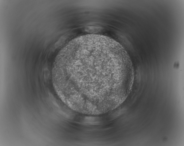 X0000112210371200909041346