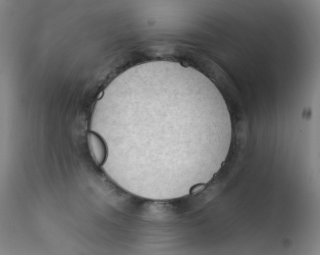 X0000112210372200909041347