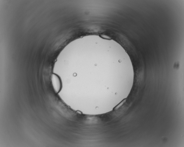 X0000112210376200909041347