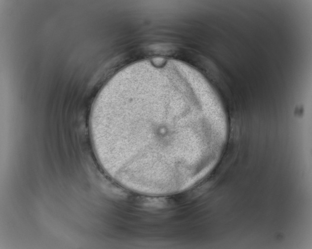 X0000112210377200909041347