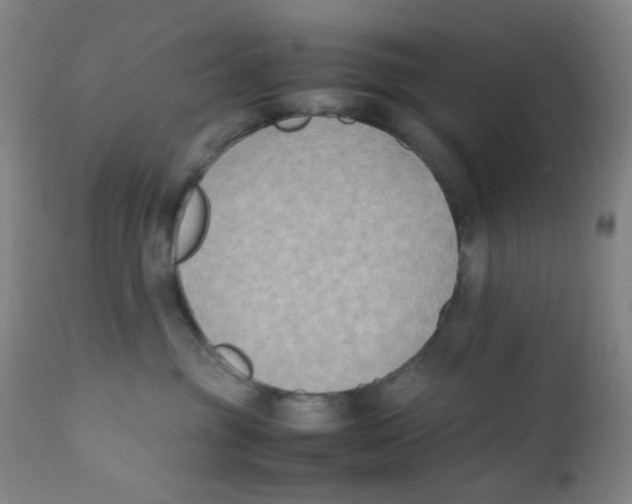 X0000112210381200909041347