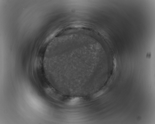 X0000112210382200909041347