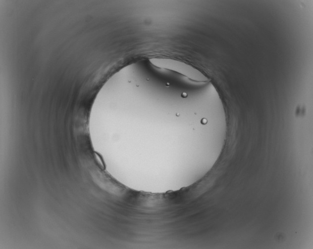 X0000112210384200909041347