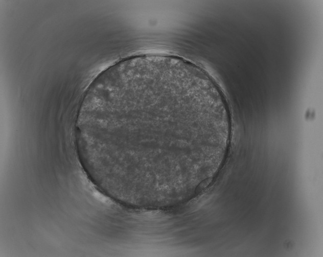 X0000112210385200909041346