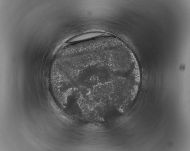 X0000112210386200909041346