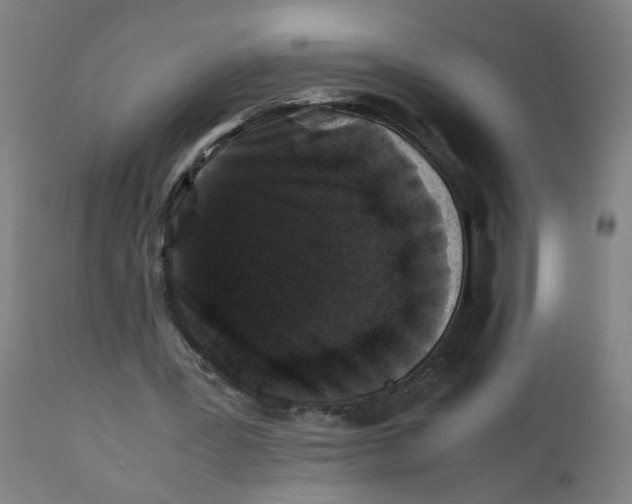 X0000112210387200909041346