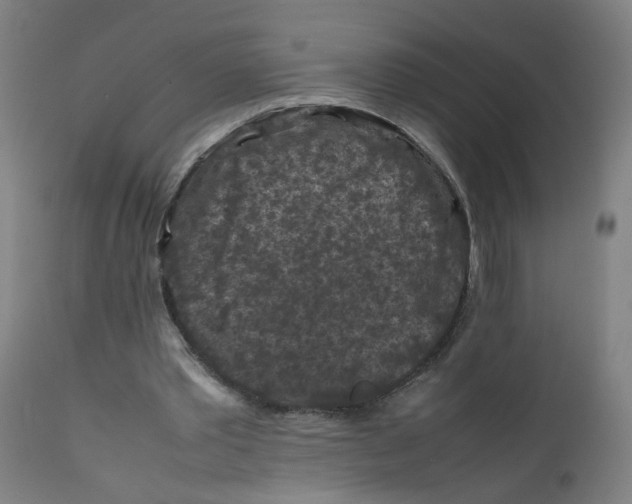X0000112210389200909041346