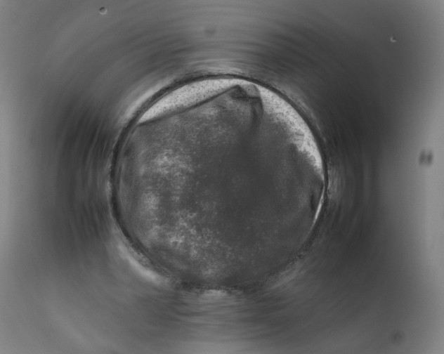 X0000112210390200909041346