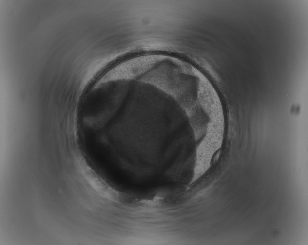 X0000112210391200909041346