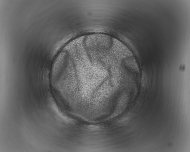 X0000112210394200909041346
