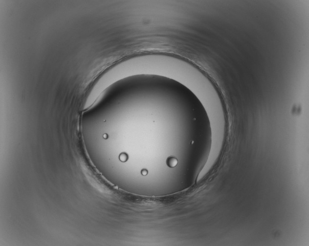 X0000112210397200909041346