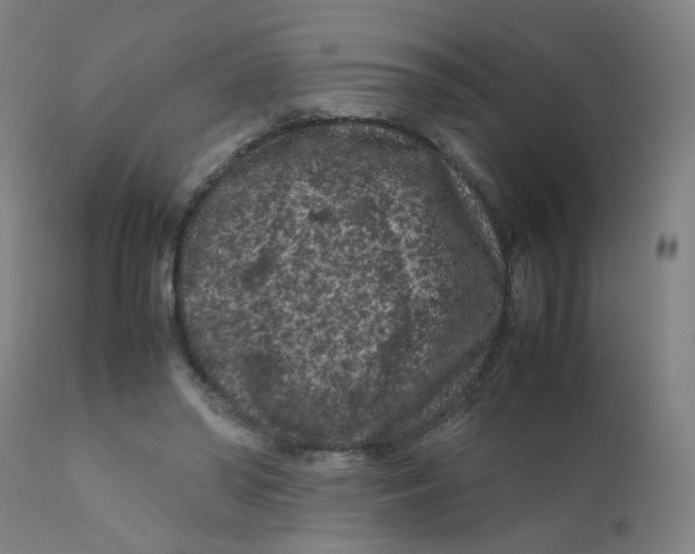 X0000112210398200909041346