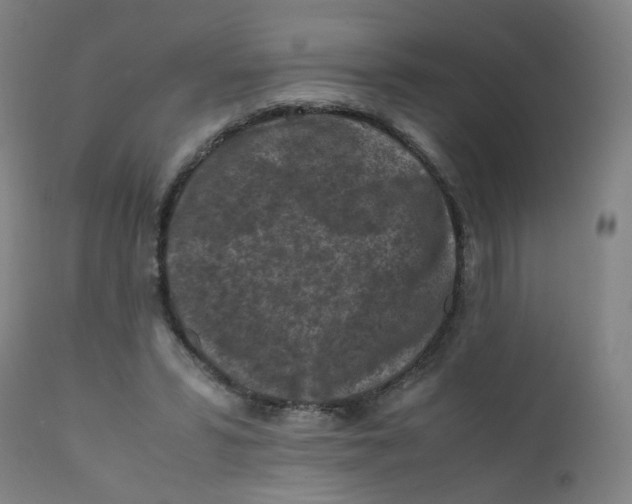 X0000112210399200909041346