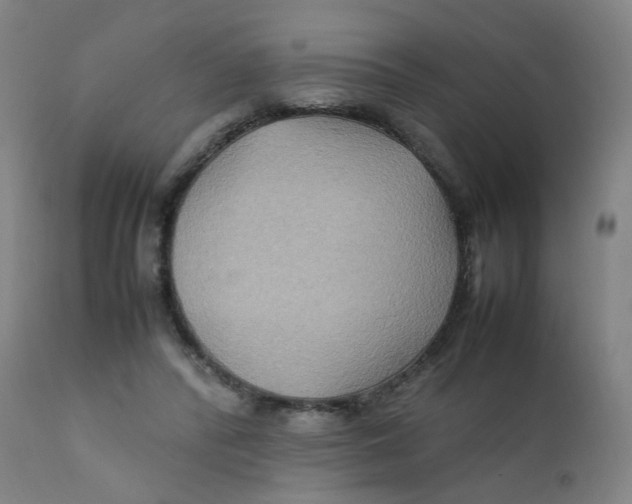 X0000112210400200909041346