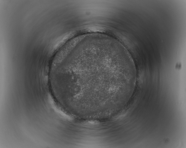 X0000112210402200909041346