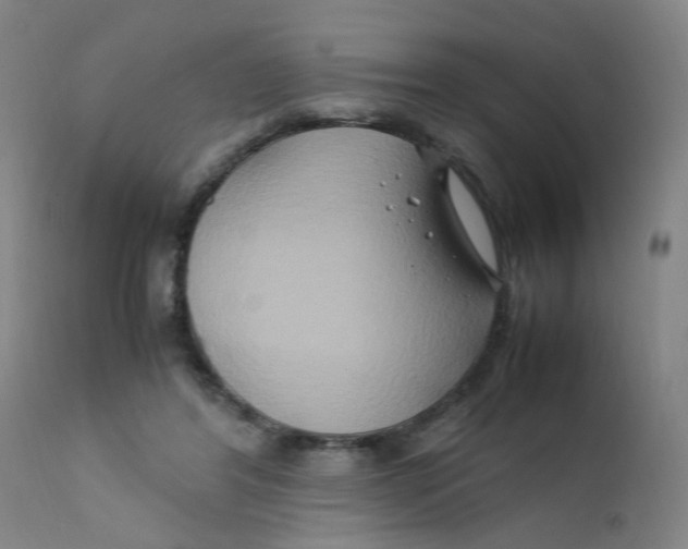 X0000112210404200909041346