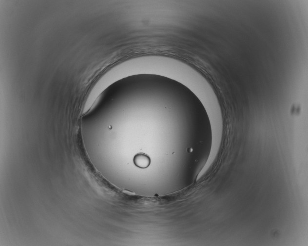 X0000112210405200909041346