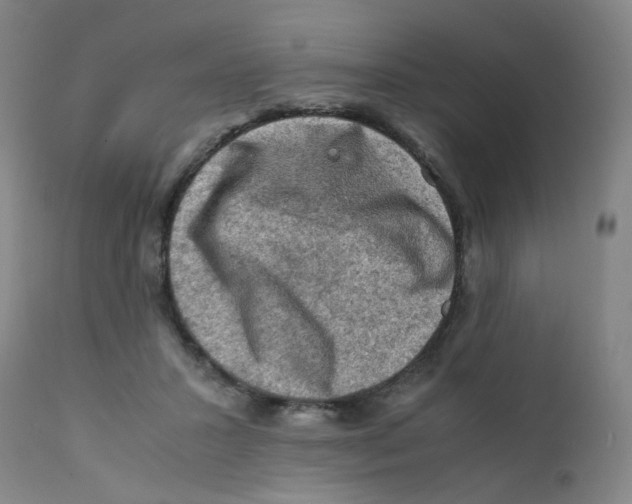 X0000112210407200909041346