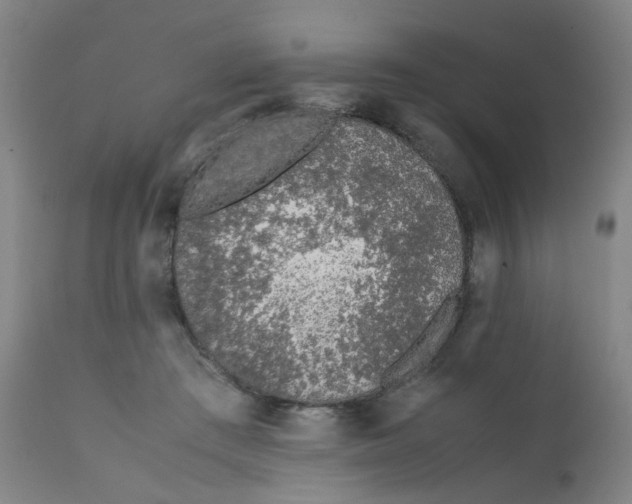 X0000112210409200909041346