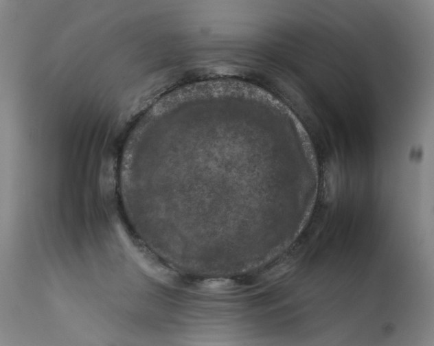 X0000112210410200909041346