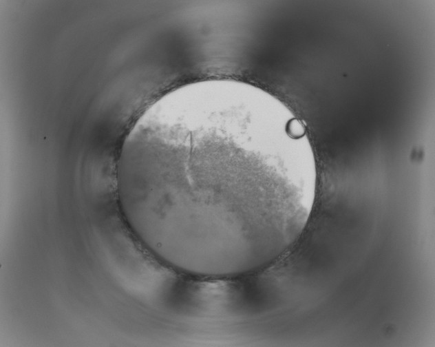 X0000112210411200909041346